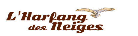 logo de l'entreprise Lharfang des neiges